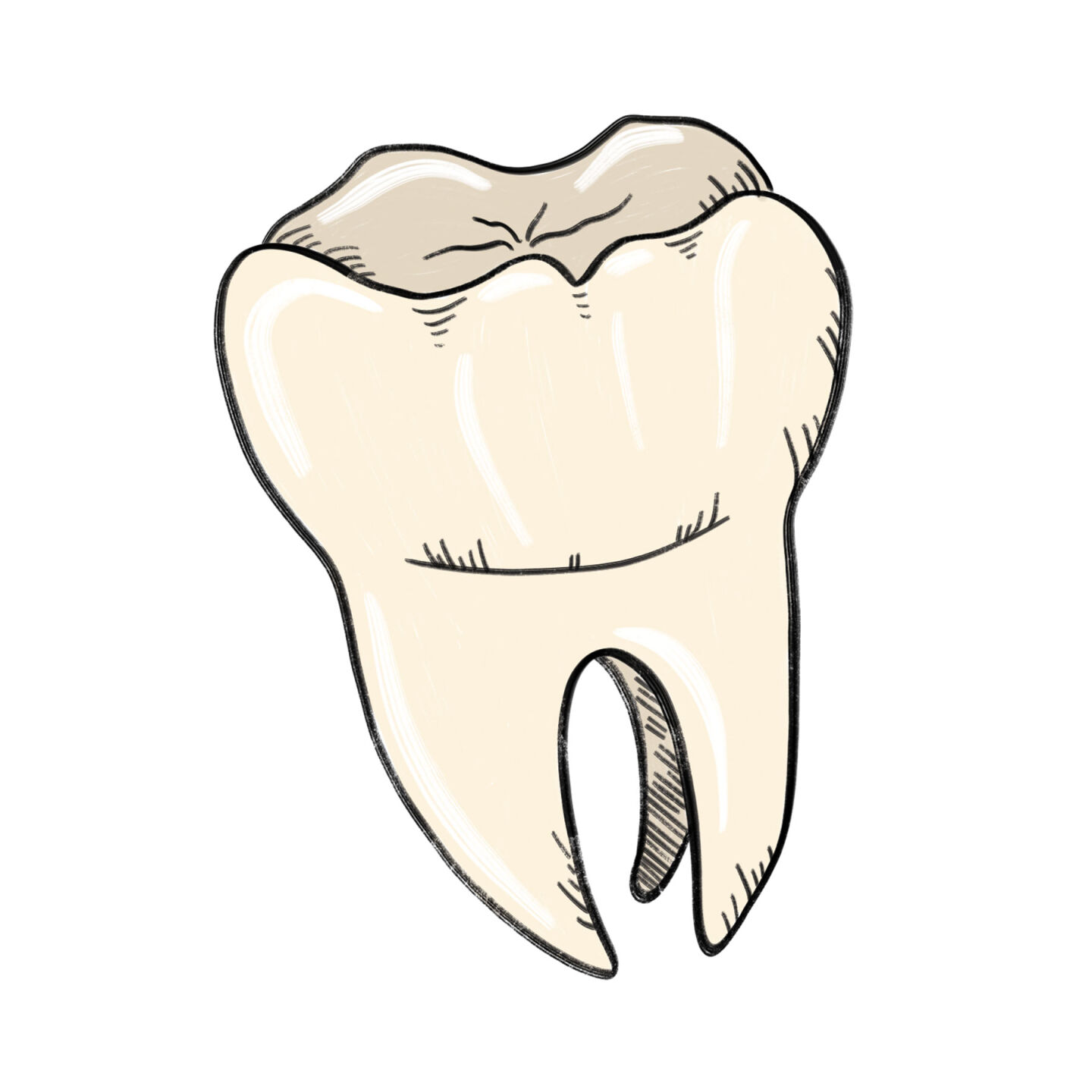 Dentists.jpg